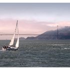 Sailing the Golden Gate