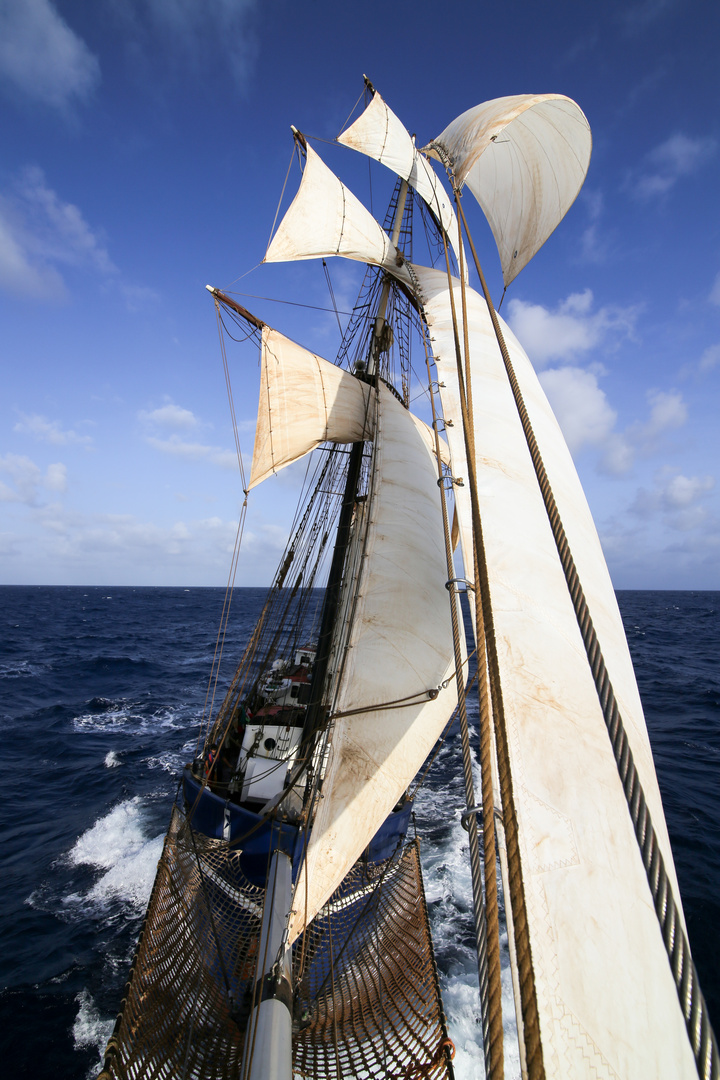 Sailing Vessel Salomon