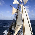 Sailing Vessel Salomon