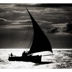 sailing...............(Zanzibar)