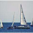 Sails for racing