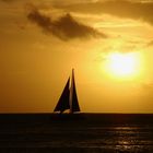 Sails in the sunset