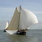 Sailship, Netherlands