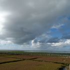 Sailzwiesen auf der Hallig Südfall