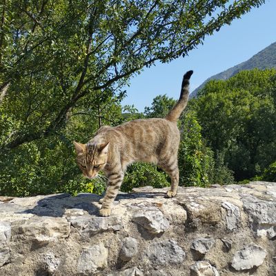 Saint André en Royans 