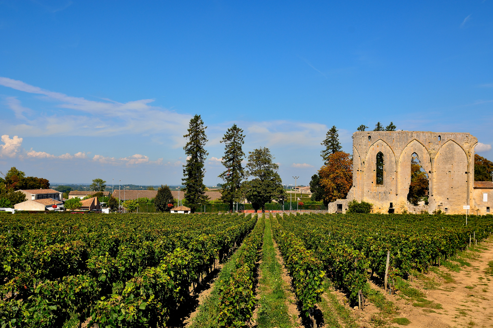 Saint-Emilion_02