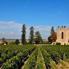 Saint-Emilion_02