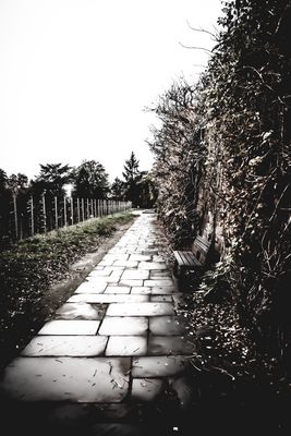 Saint-Germain-Terrasse