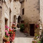 Saint Guilhem le Desert 6