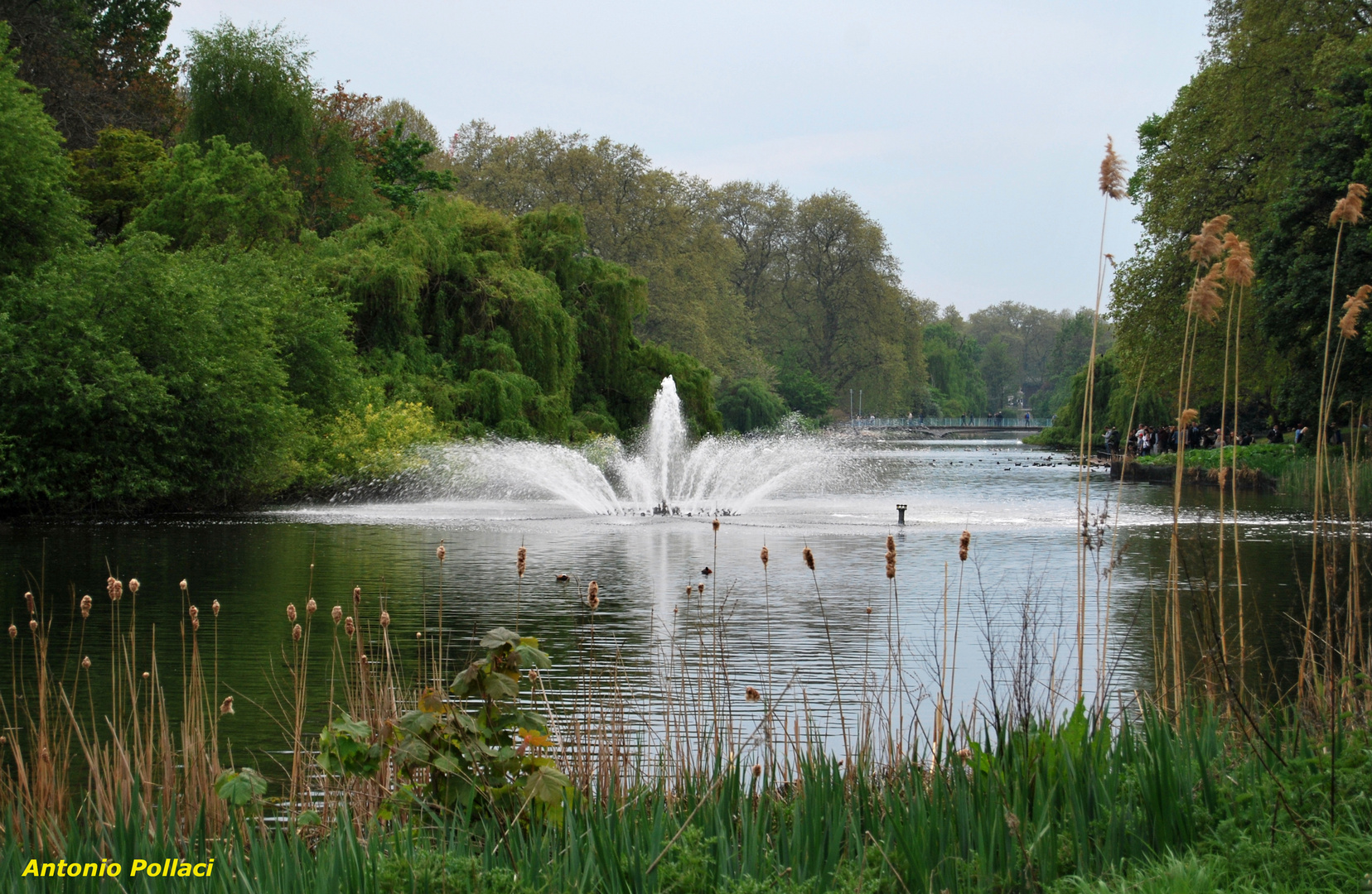 Saint James Park