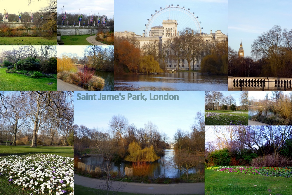 Saint James Park/ St. Jame's Park, London mit London Eye