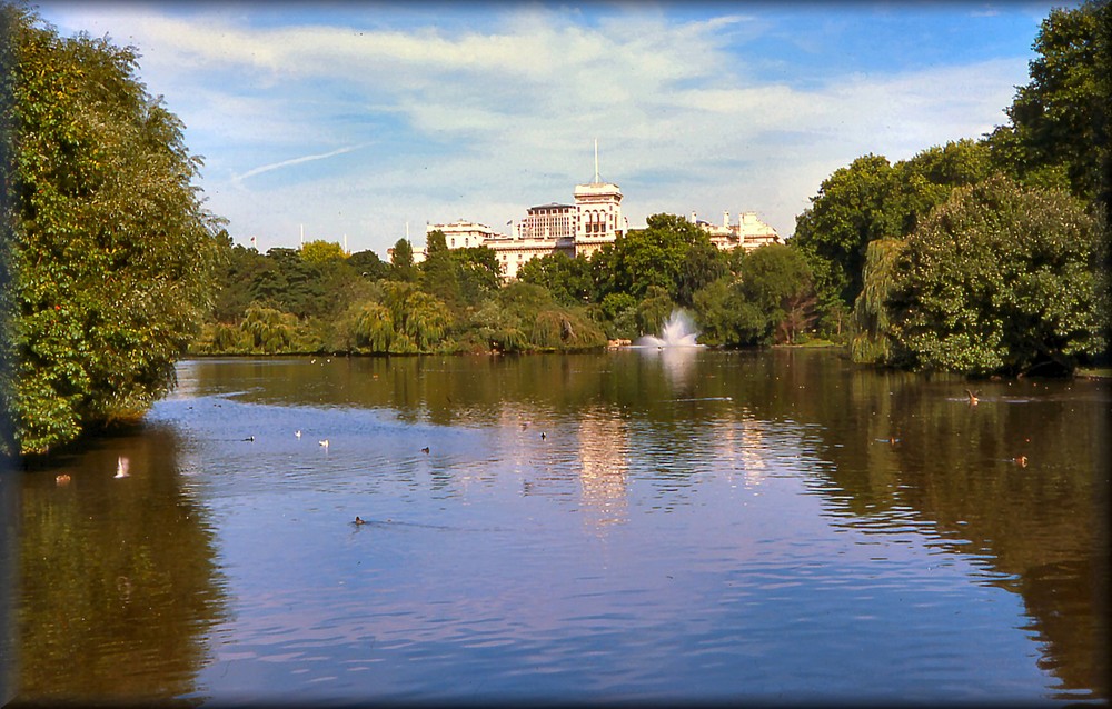 Saint James Park...London forever!!