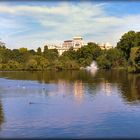 Saint James Park...London forever!!