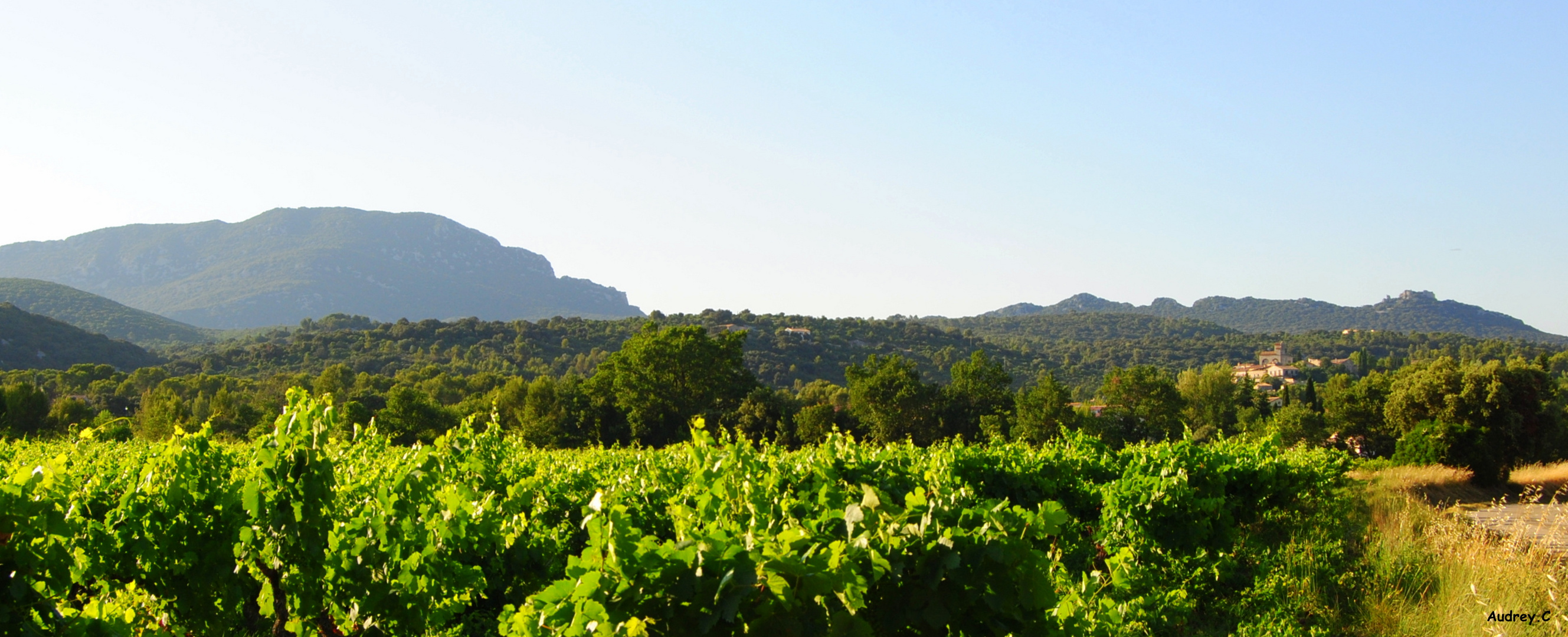 Saint Jean de Cuculles et le pic Saint Loup (34)