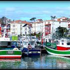 SAINT - JEAN - DE - LUZ - 26  -