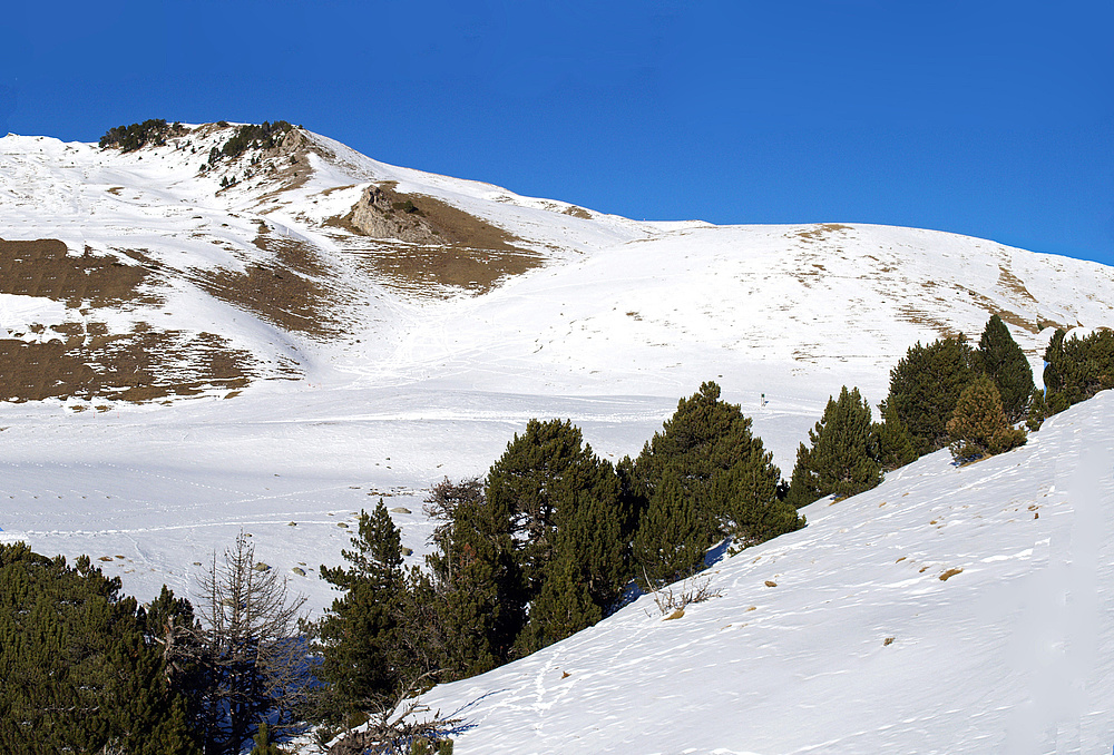 Saint-Lary-Soulan 15 -- 2/2006