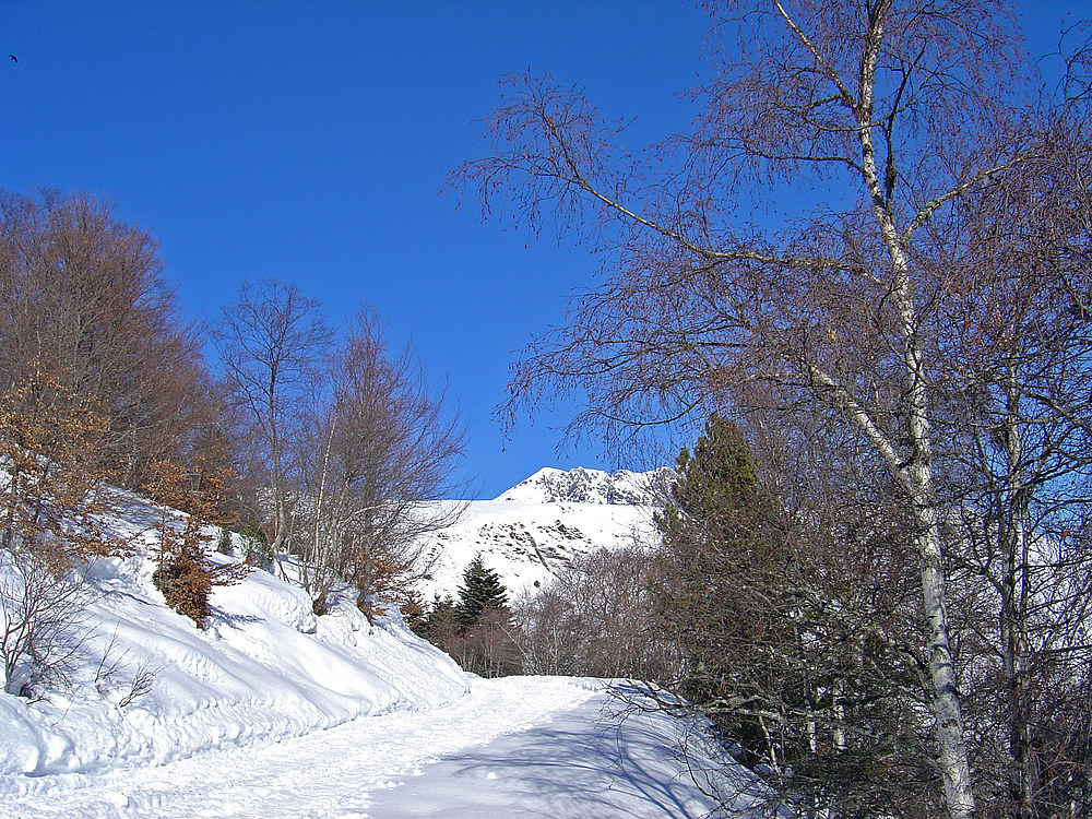 Saint-Lary-Soulan 8 -- 01/2006