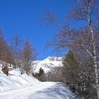 Saint-Lary-Soulan 8 -- 01/2006