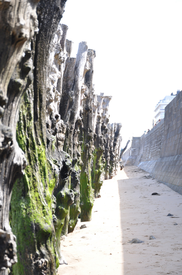 Saint Malo