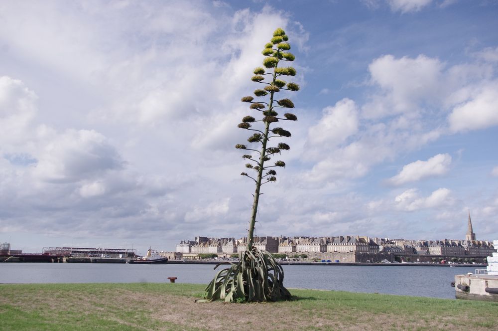 Saint Malo .....