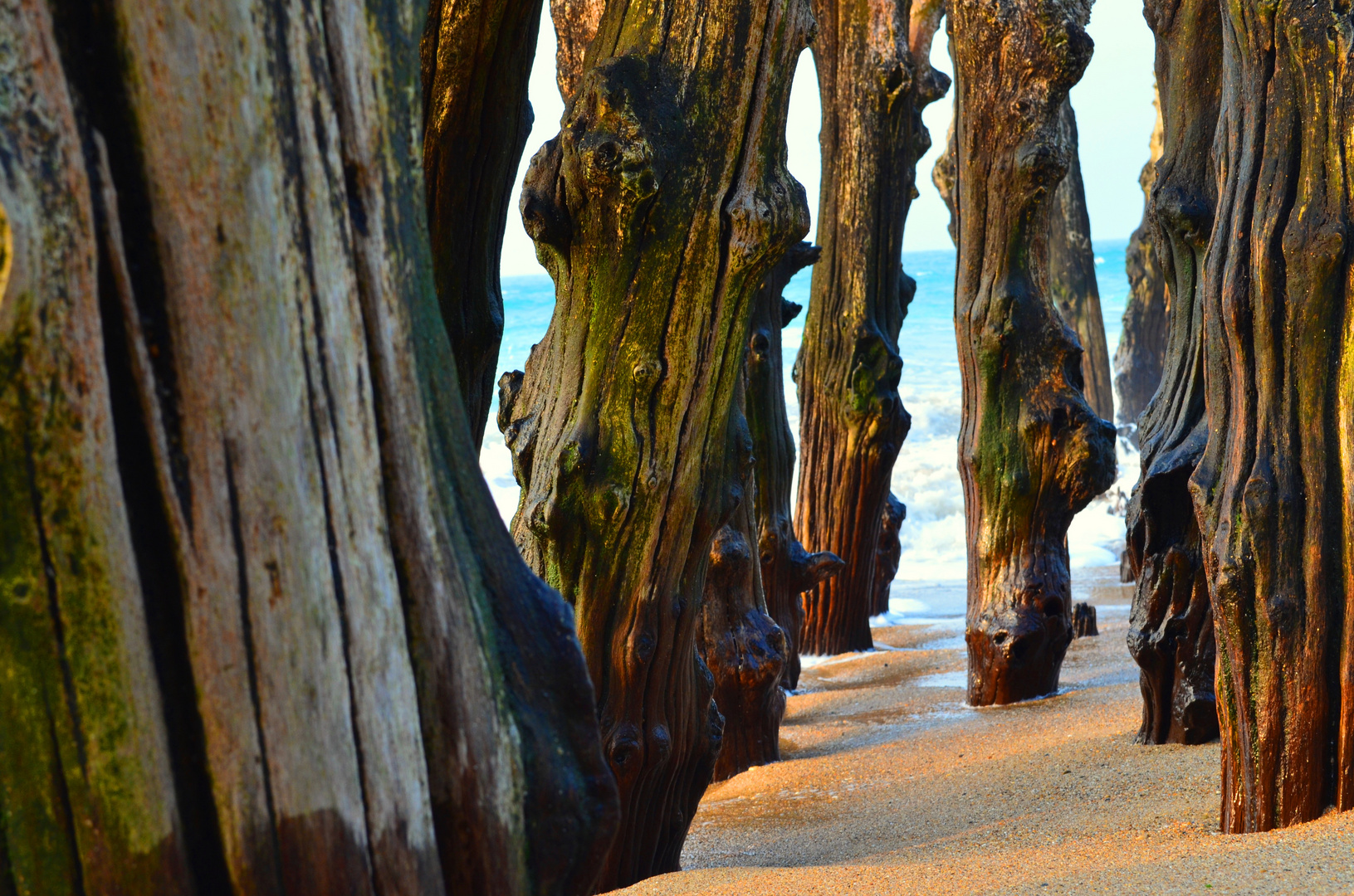 Saint Malo