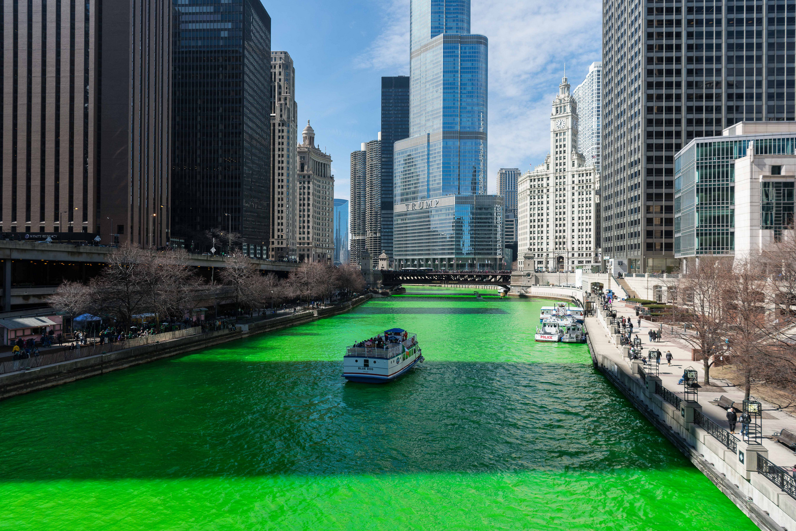 Saint Patricks Day in Chicago