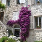 Saint-Paul-de-Vence