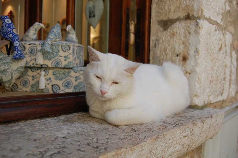 Saint Paul de Vence Fr