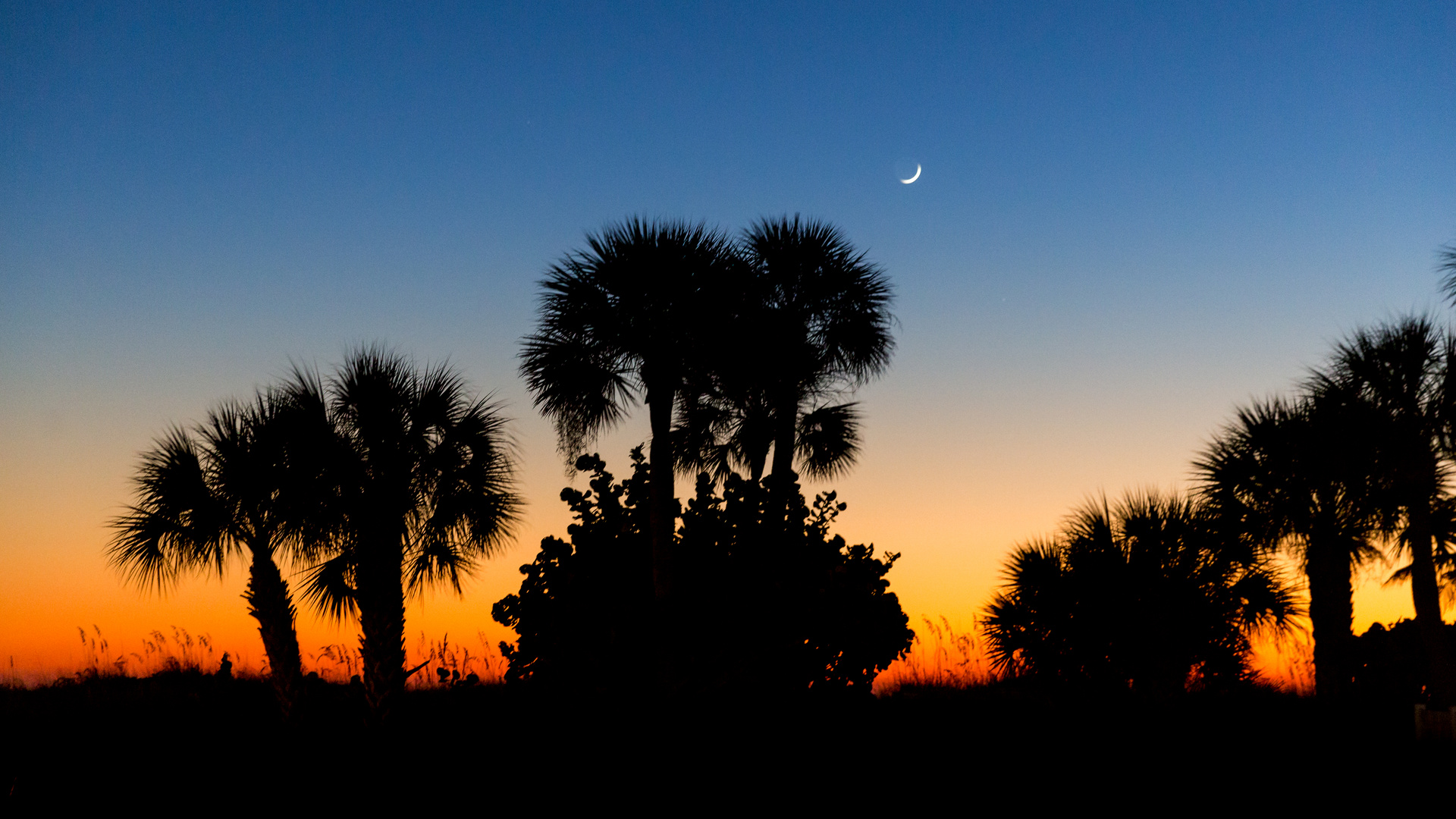 Saint Pete Beach