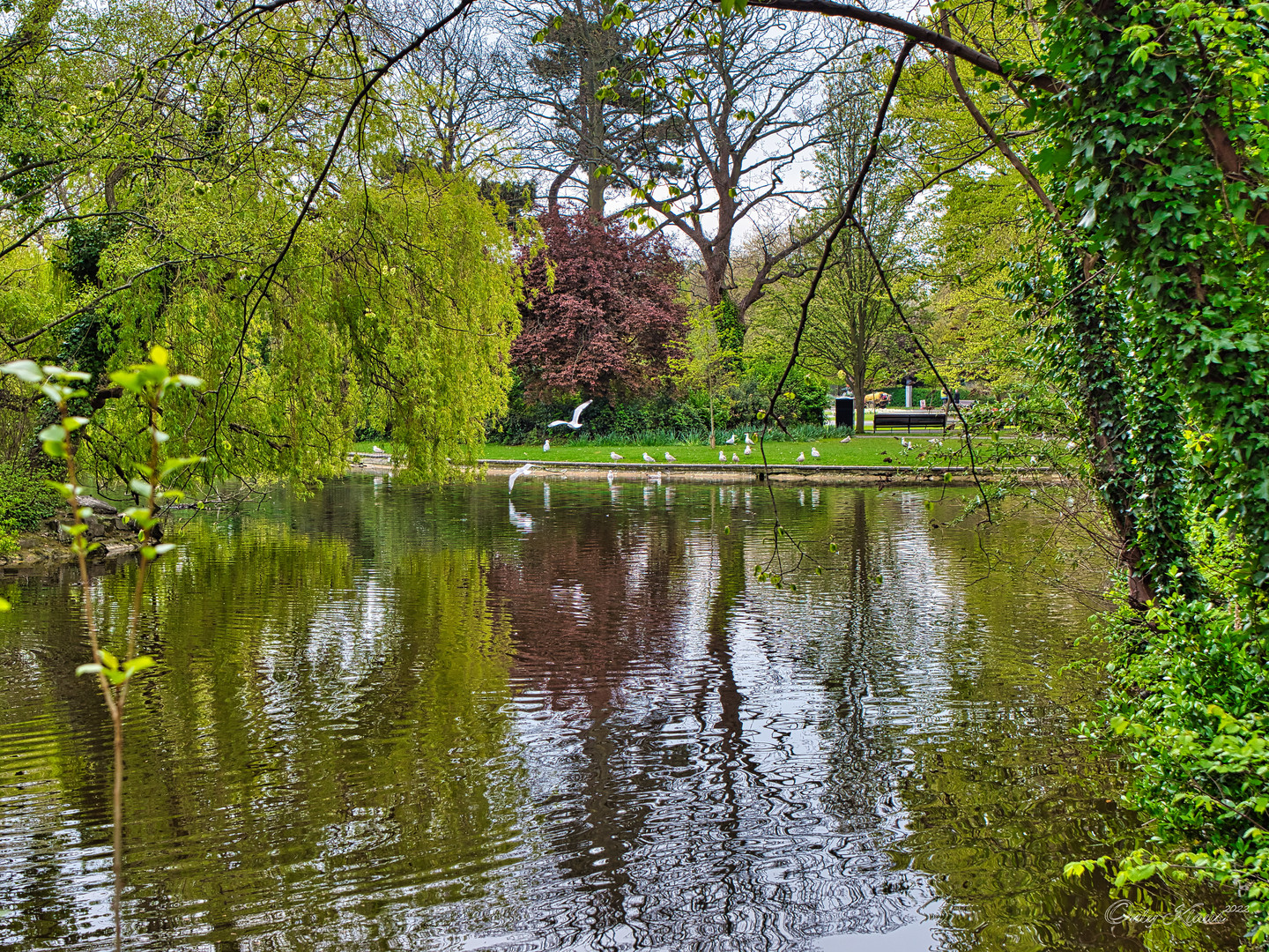 Saint Stephen's Green . Dublin