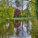 Saint Stephen's Green . Dublin