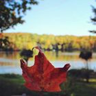 Saint-Ubalde, Québec, Canada