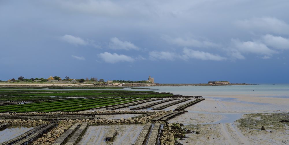 " Saint Vaast la Hougue "