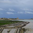 " Saint Vaast la Hougue "