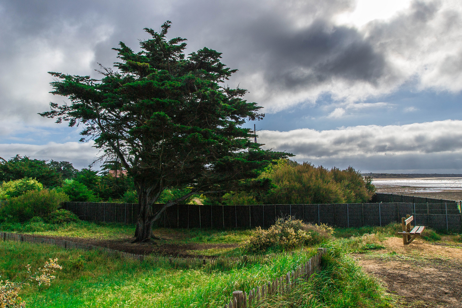 Saint-Vincent-sur-Jard 2