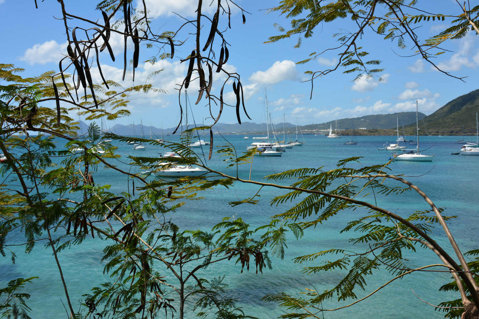 Sainte Anne Martinique