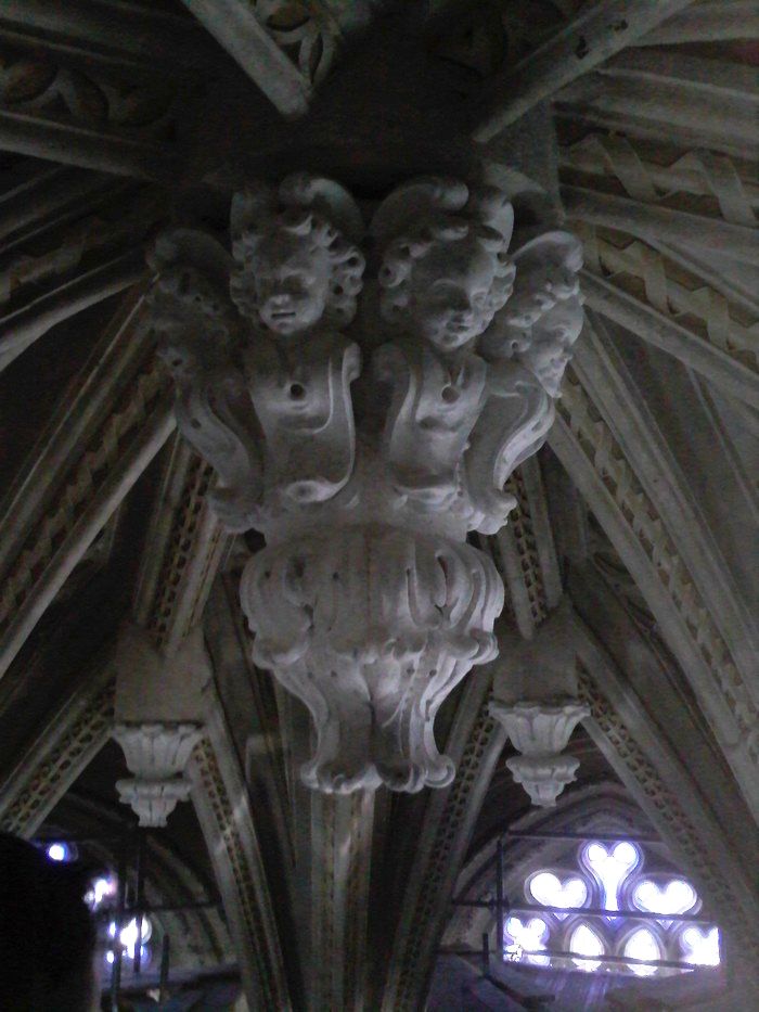 Sainte Chapelle de Chambéry (7)