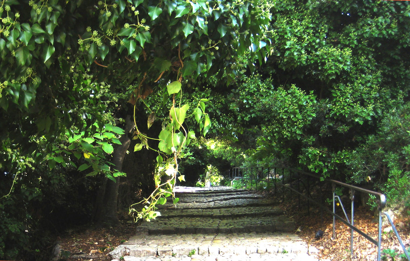 Sainte Marguerite -îles Lérins