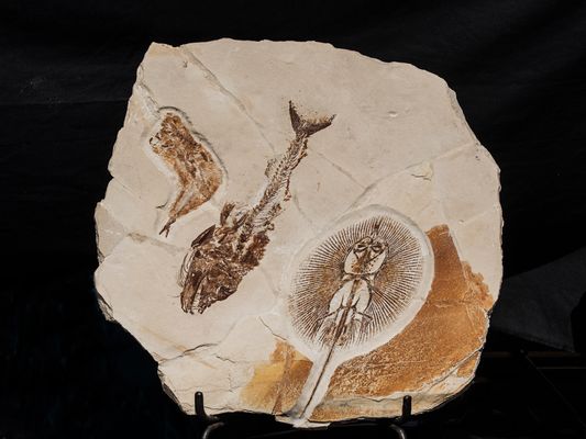 * Sainte-Marie aux Mines *