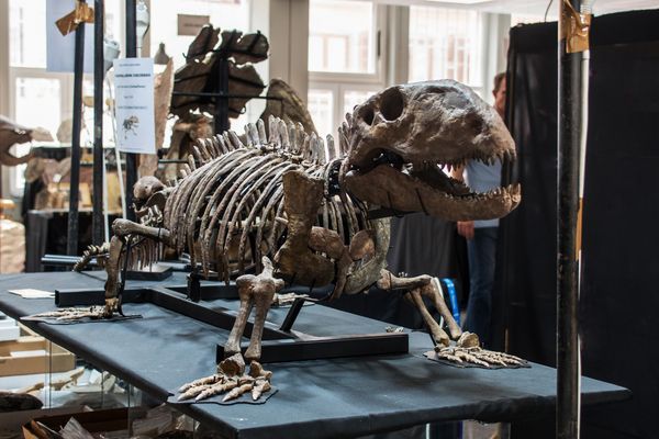 * Sainte-Marie aux Mines *