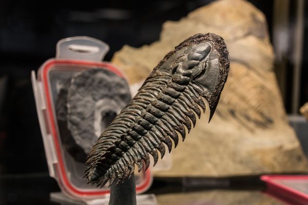 * Sainte-Marie aux Mines *