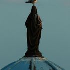 Sainte Mouette