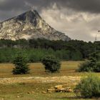 SAINTE VICTOIRE