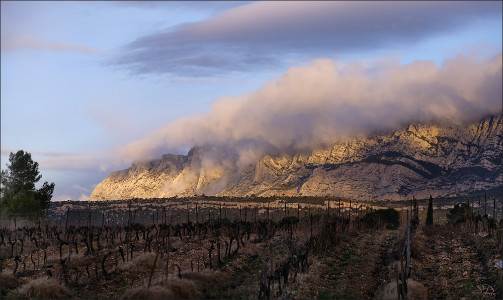 Sainte Victoire à 8h du matin .