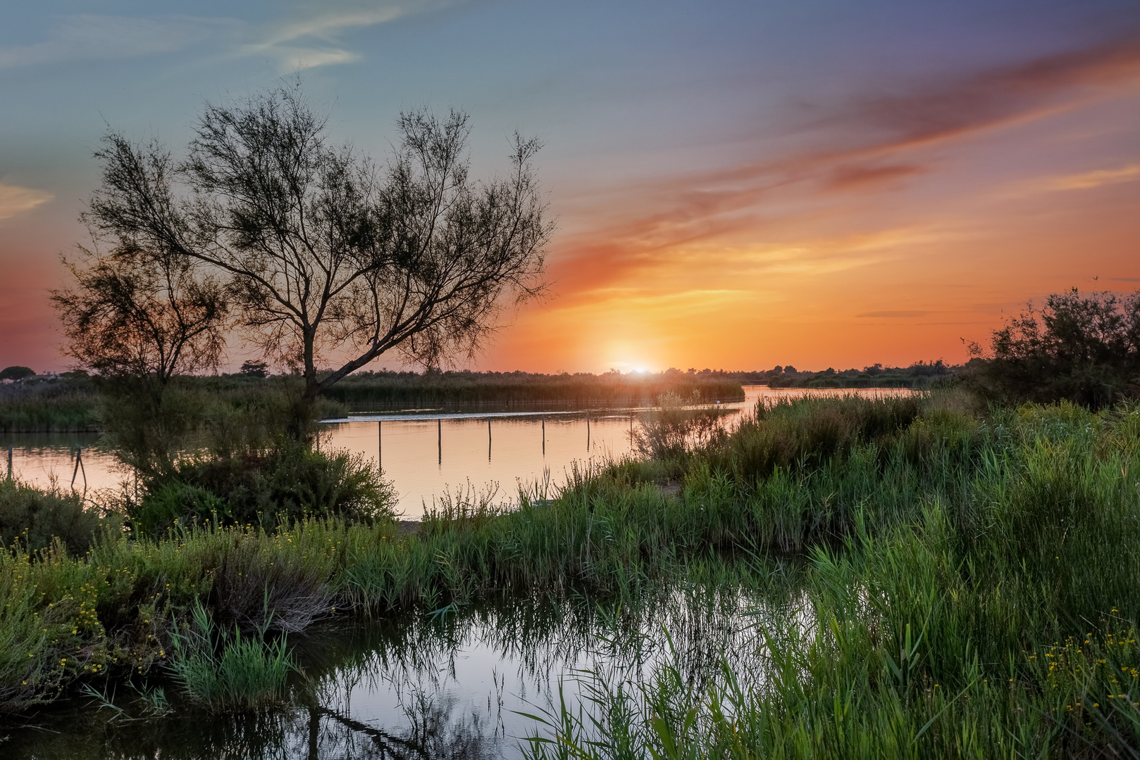 Saintes-Maries-de-la-Mer  - Camargue - Frankreich