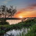 Saintes-Maries-de-la-Mer  - Camargue - Frankreich