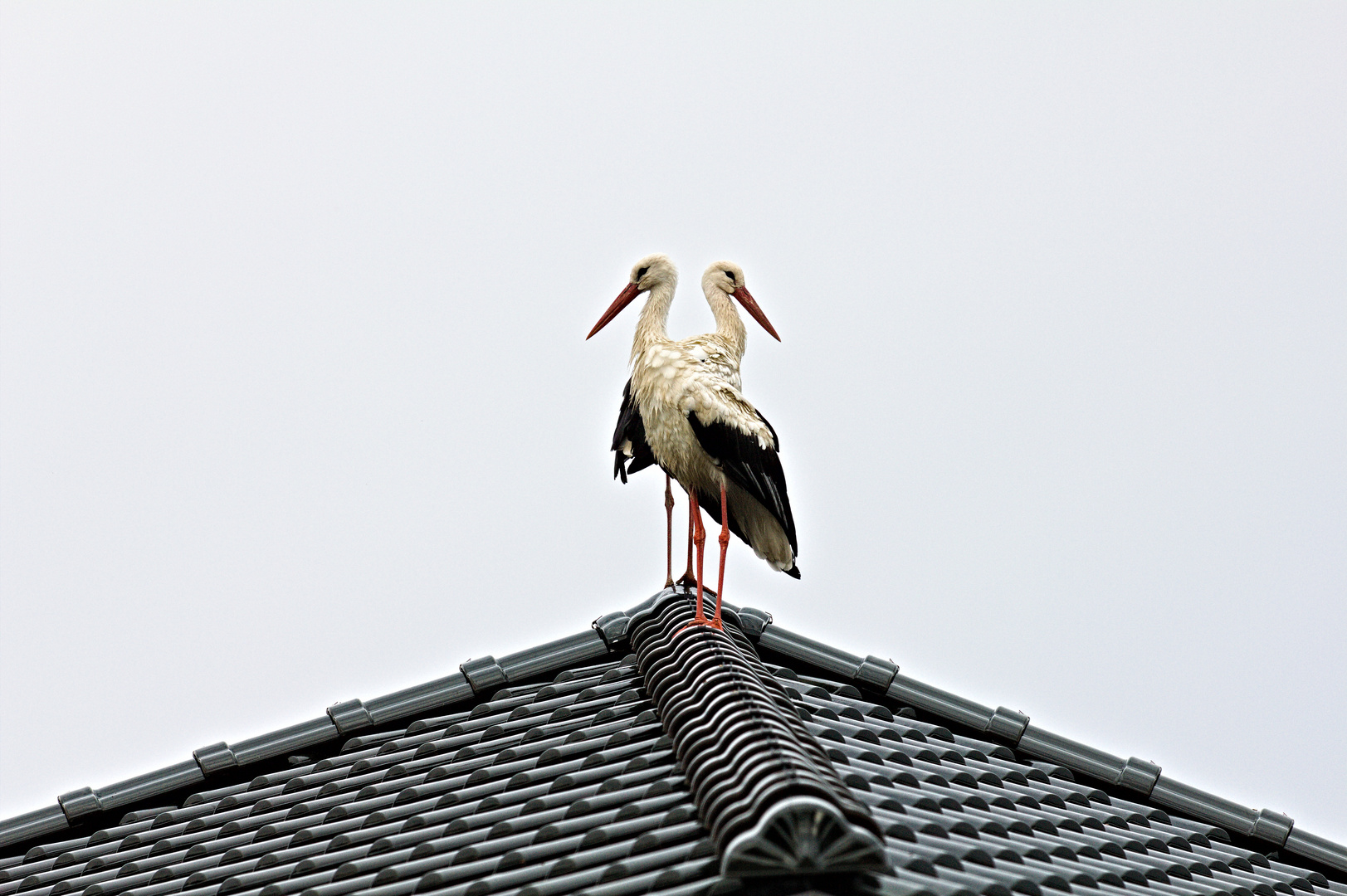 Saisonende im Spreewald ( Burg)