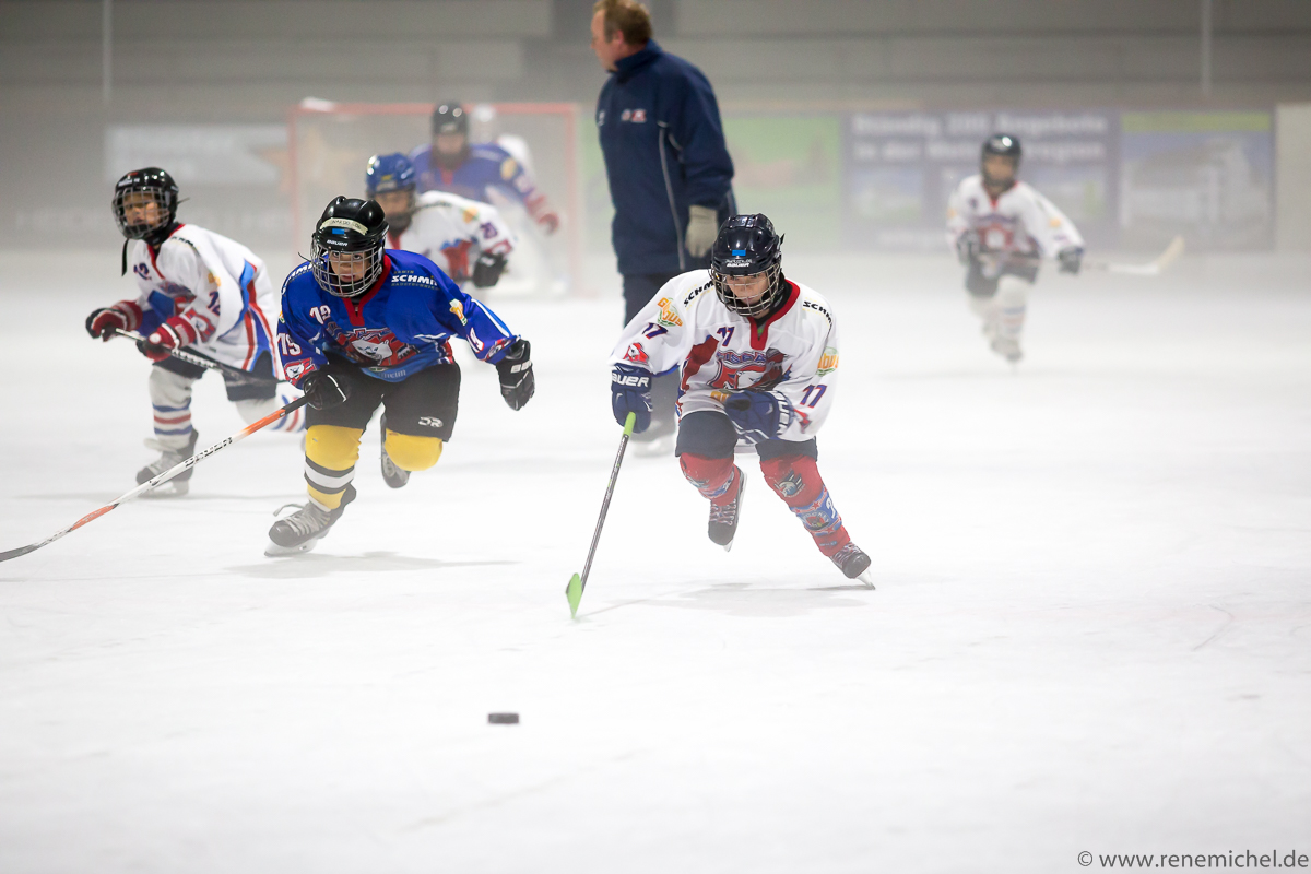 Saisonstart der kleinen Eisbären