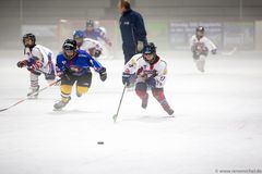 Saisonstart der kleinen Eisbären