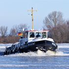 Saisonstart für die Eisbrecher